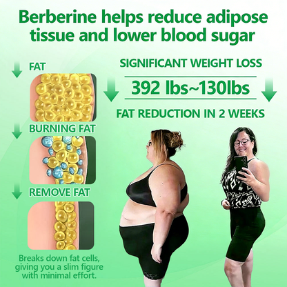 Garlivo® Berberine Slimming Microneedle Patch | 10-in-1 Weight Management Support