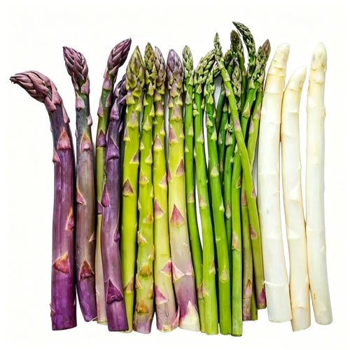 🌱 Grow Fresh Asparagus at Home — Plant Once, Harvest for Years