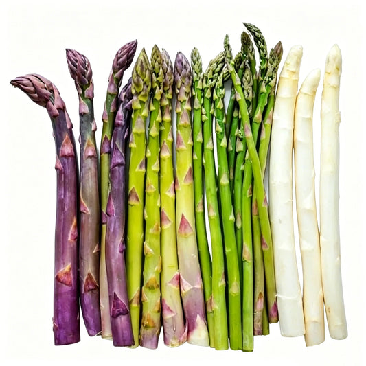 🌱 Grow Fresh Asparagus at Home — Plant Once, Harvest for Years