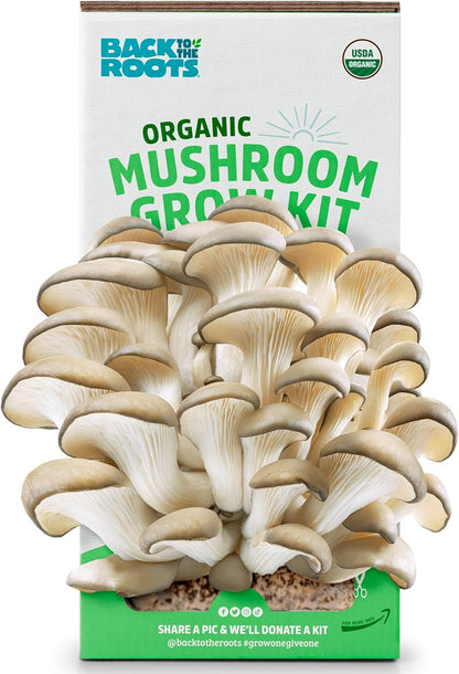 GROW FRESH MUSHROOMS AT HOME IN 10 DAYS
