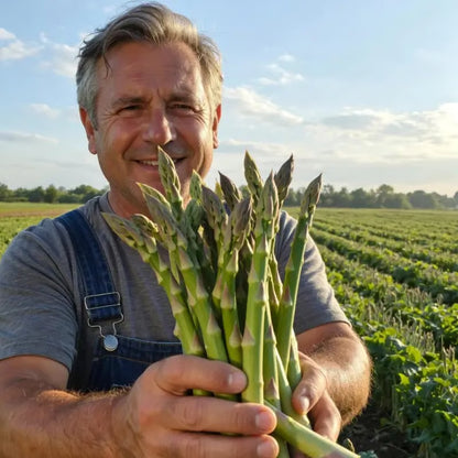 🌱 Grow Fresh Asparagus at Home — Plant Once, Harvest for Years
