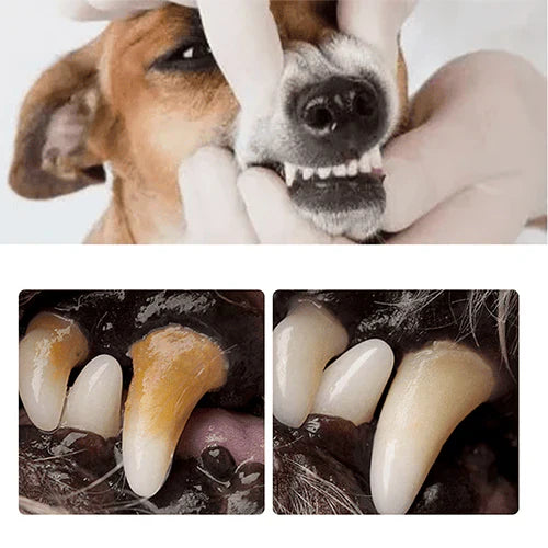 Pet Dental Tartar Care Spray for Dogs & Cats