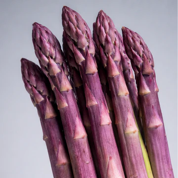 🌱 Grow Fresh Asparagus at Home — Plant Once, Harvest for Years