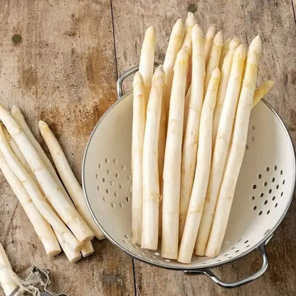 🌱 Grow Fresh Asparagus at Home — Plant Once, Harvest for Years