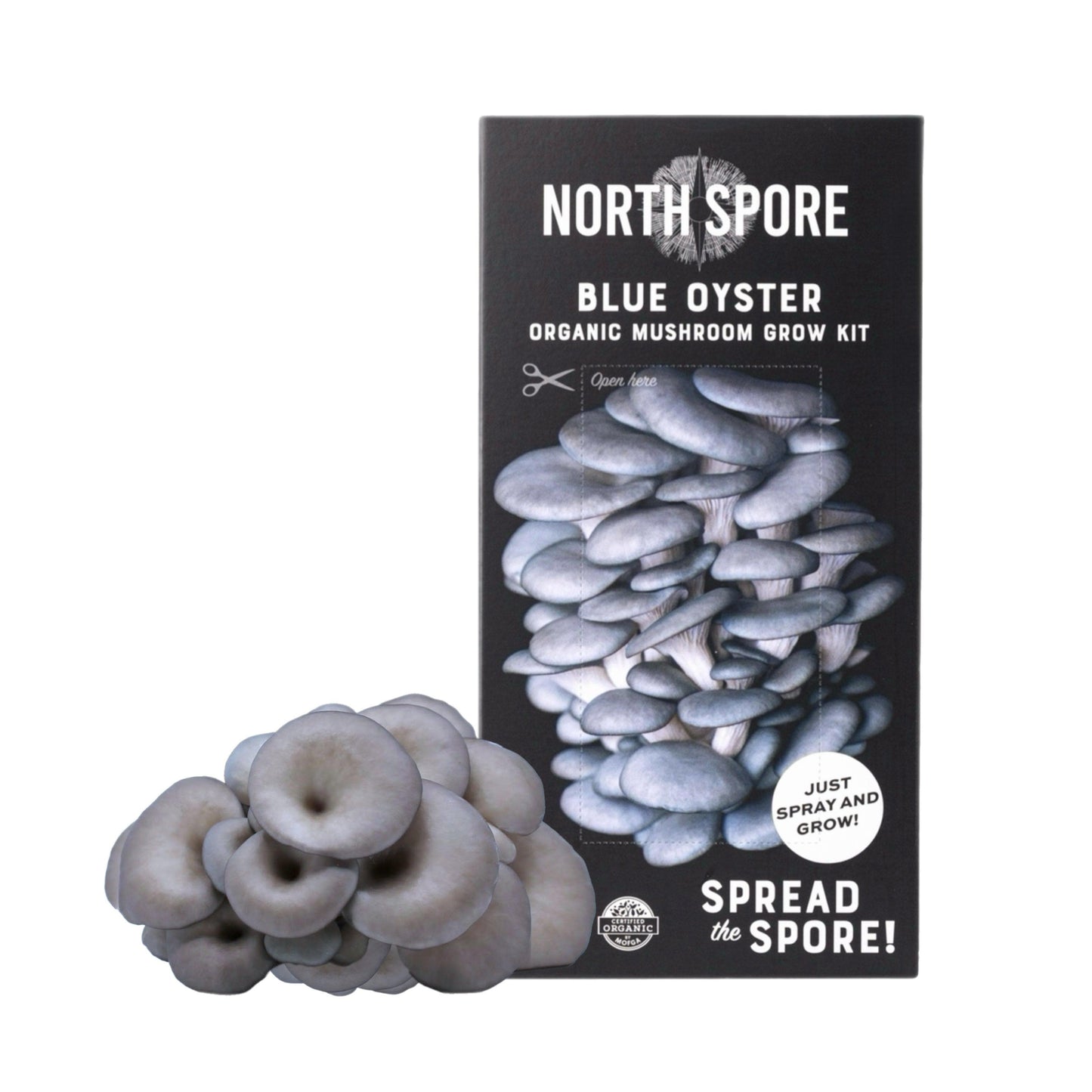 GROW FRESH MUSHROOMS AT HOME IN 10 DAYS