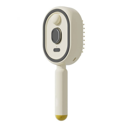 Electric Spray Air Cushion Massage Comb(Free shipping for a limited time)